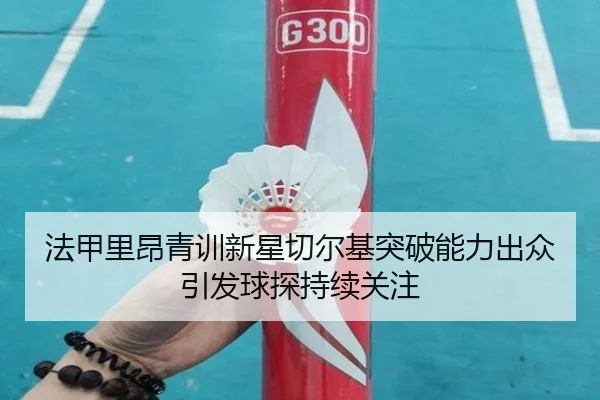 法甲里昂青训新星切尔基突破能力出众引发球探持续关注